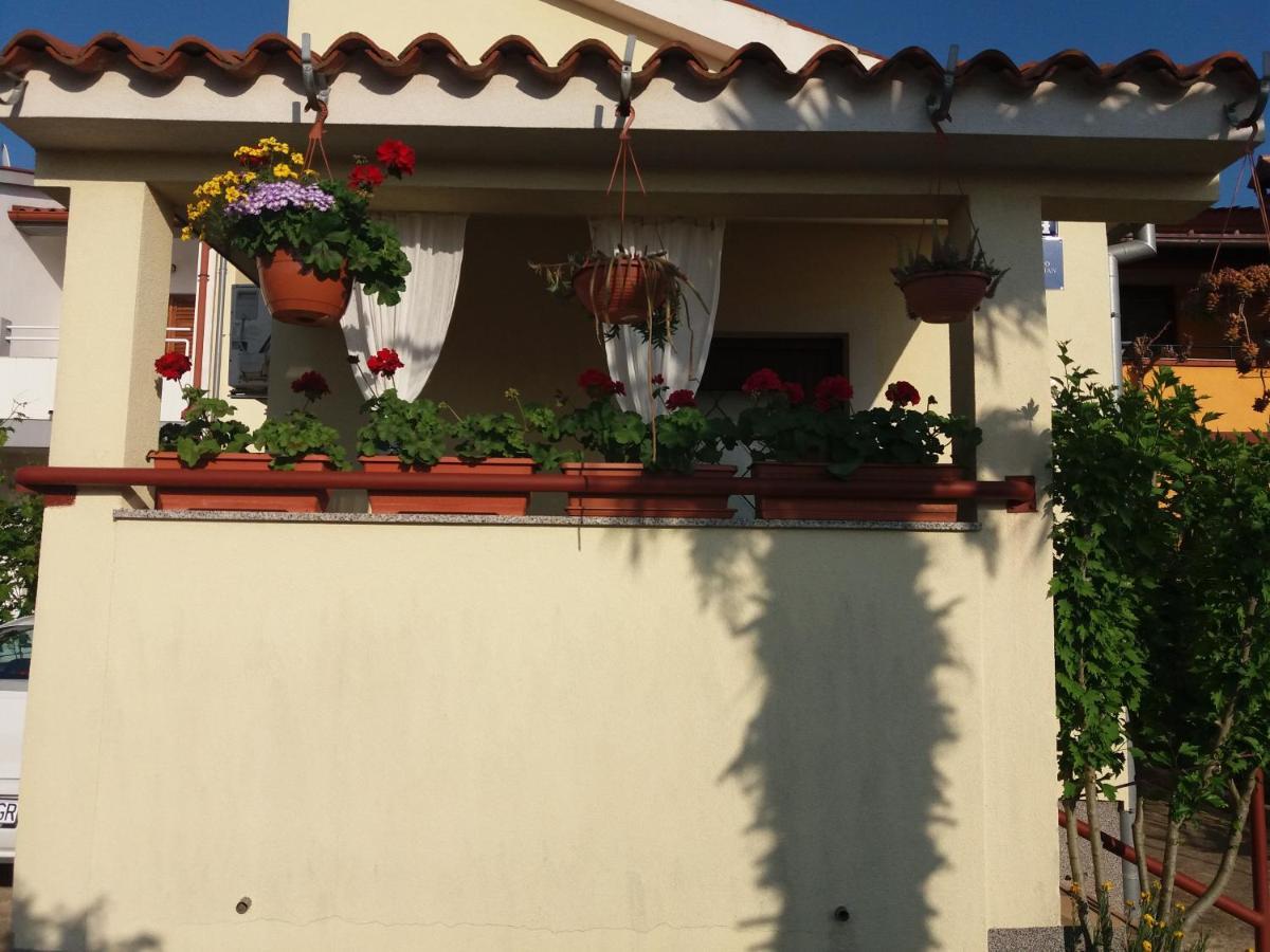 פאז'אנה Apartman Luka מראה חיצוני תמונה
